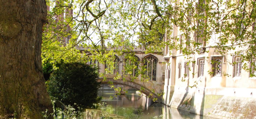 Water by the Bridge of Sighs