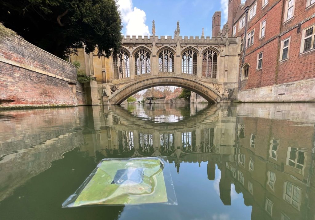 Square, green artificial leaf floating down the Cam in front of the Bridge of Sighs.