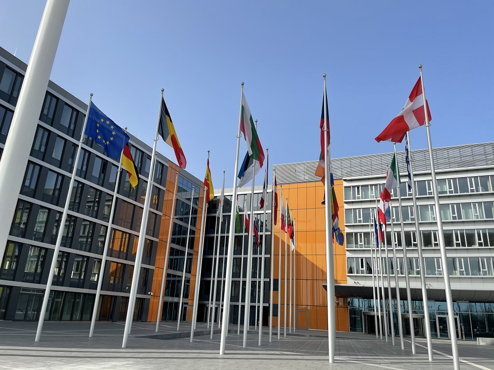 National flags outside an EU building