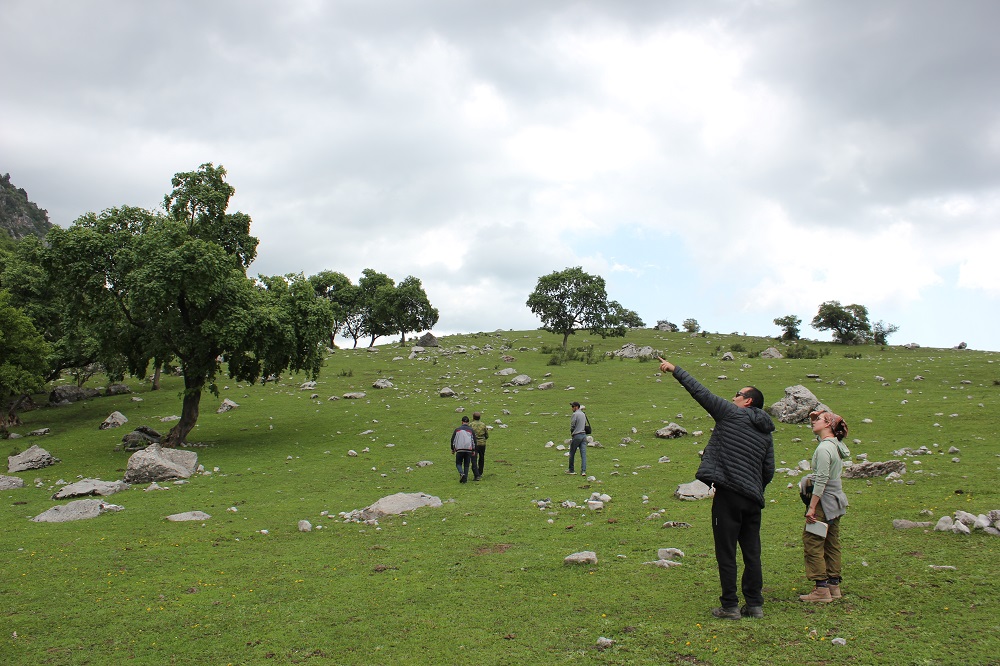 The project team stands on a grassy, rocky hill. Some are walking up the hill. In the foreground someone is point up to something and another person is looking.