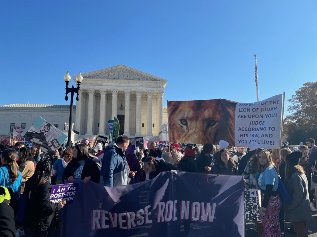 Protesters gather with signs and flags. The largest flag reads 'REVERSE ROE NOW'. Another person has a sign with a picture of a lion and a Bible quote.