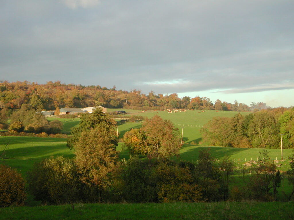 A landscape image of Toys Hill. It has grass and trees in the foreground, cattle and farm buildings on a hill in the centre and a grey and blue sky in the background.